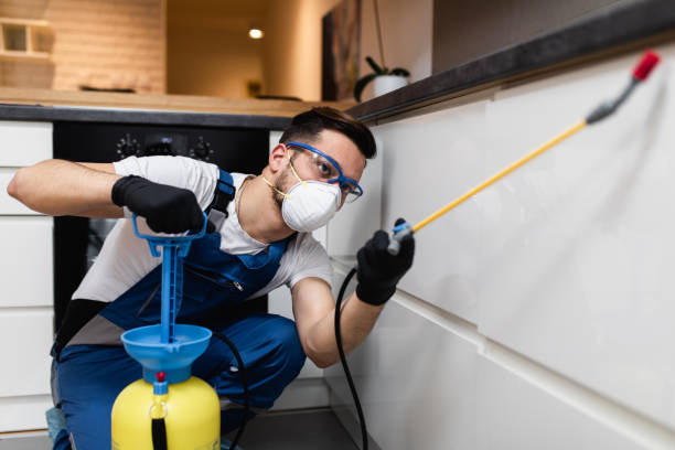 Best Best Pest Control Near Me  in Island City, OR