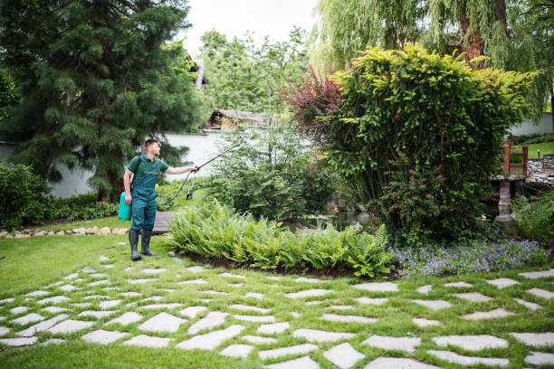 Best Pest Inspection Near Me  in Island City, OR