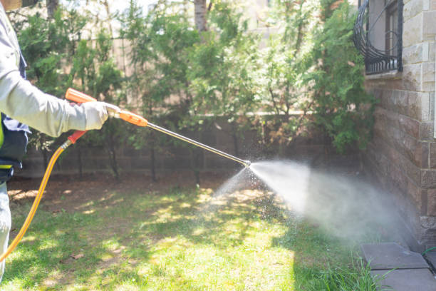 Best Emergency Pest Control  in Island City, OR