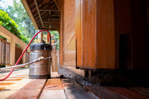 Best Pest Removal Services  in Island City, OR