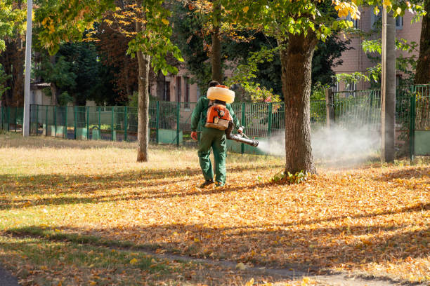 Wildlife Control Services in Island City, OR